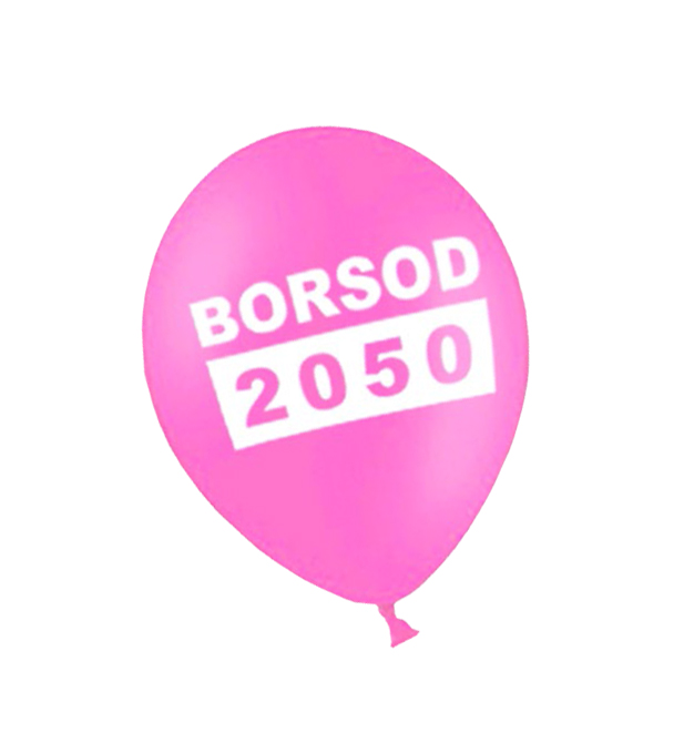 BORSOD 2050